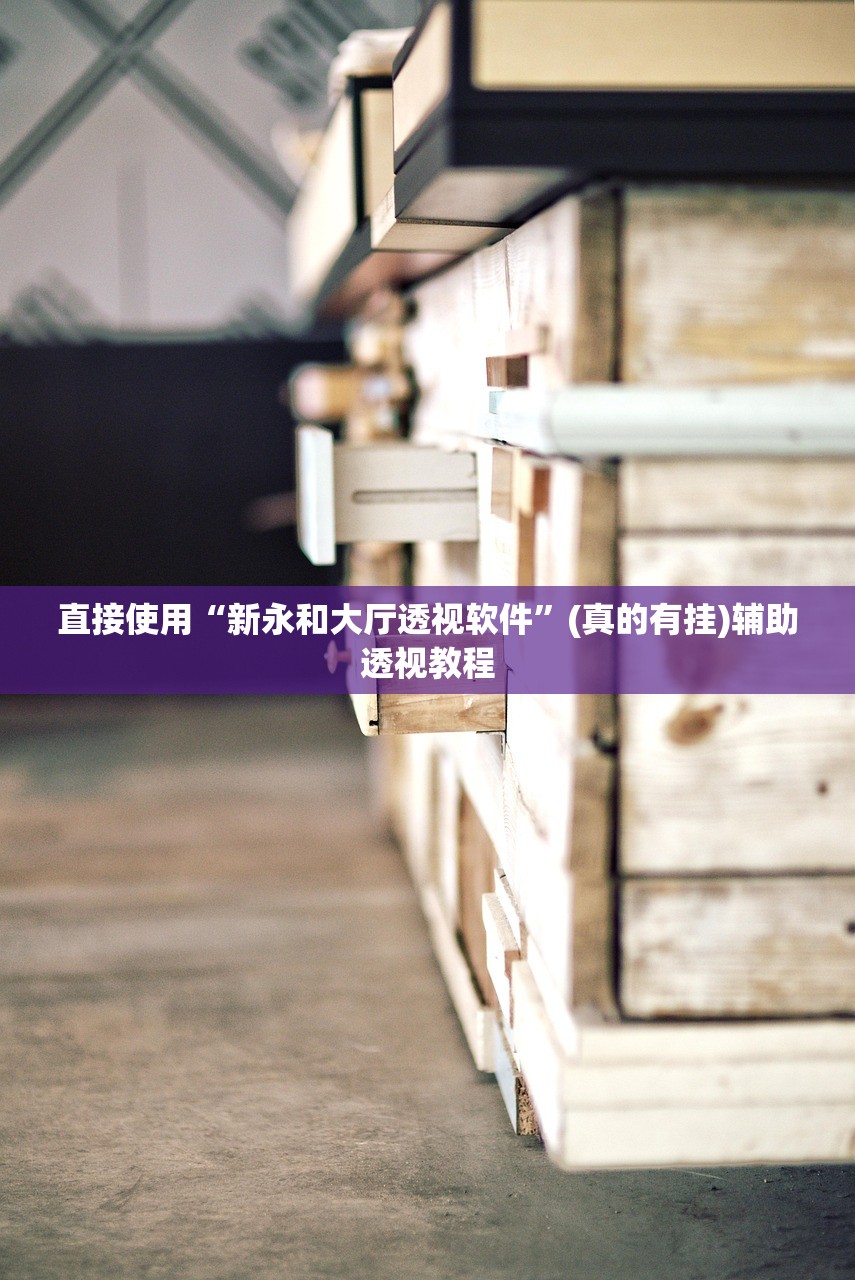 直接使用“新永和大厅透视软件”(真的有挂)辅助透视教程