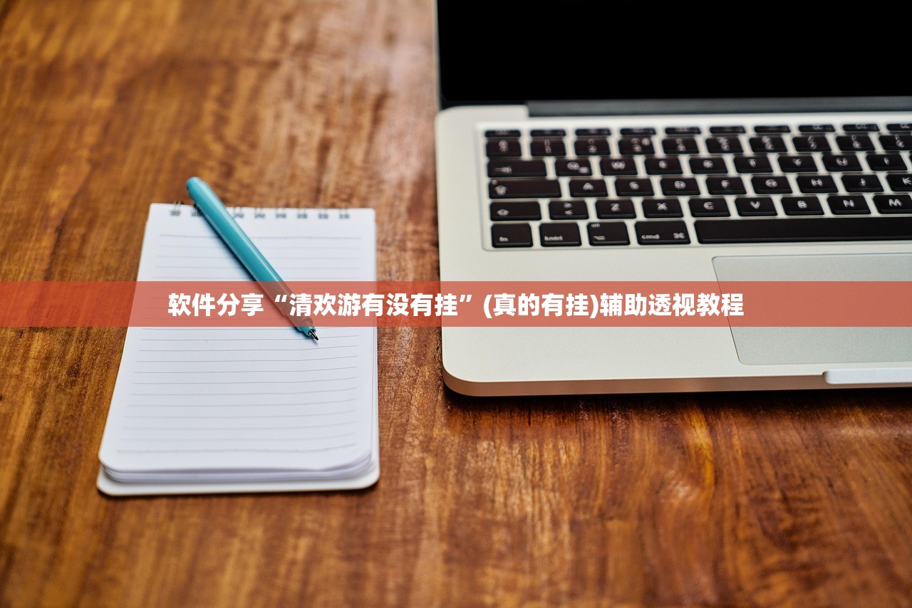 软件分享“清欢游有没有挂”(真的有挂)辅助透视教程