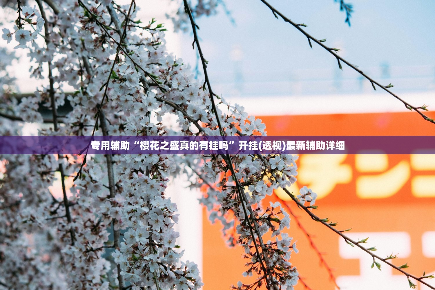 专用辅助“樱花之盛真的有挂吗”开挂(透视)最新辅助详细
