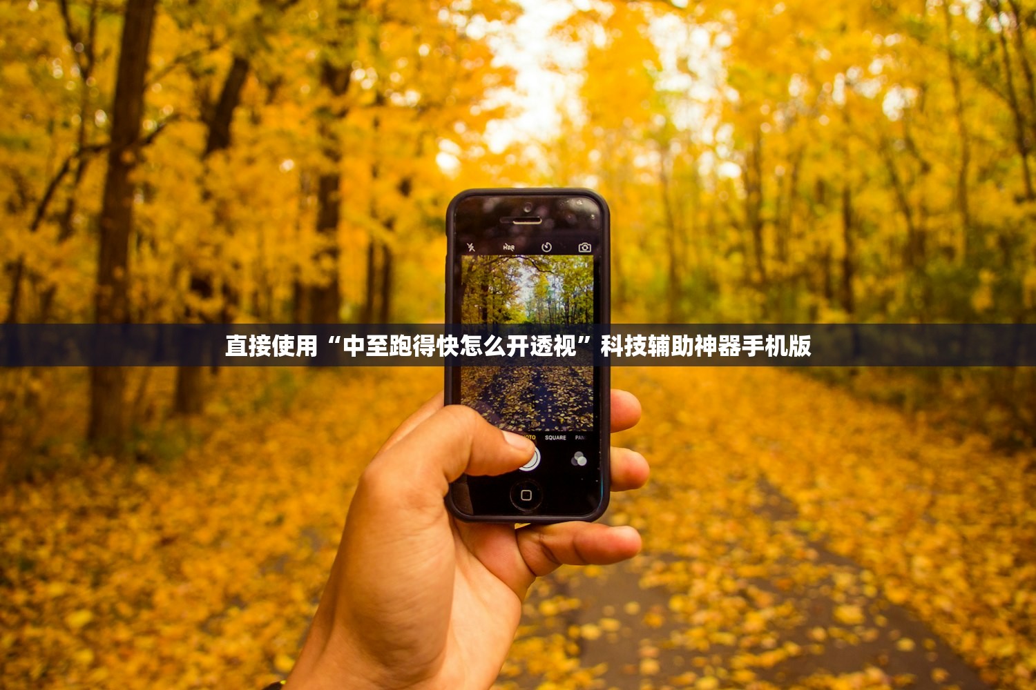 直接使用“中至跑得快怎么开透视”科技辅助神器手机版