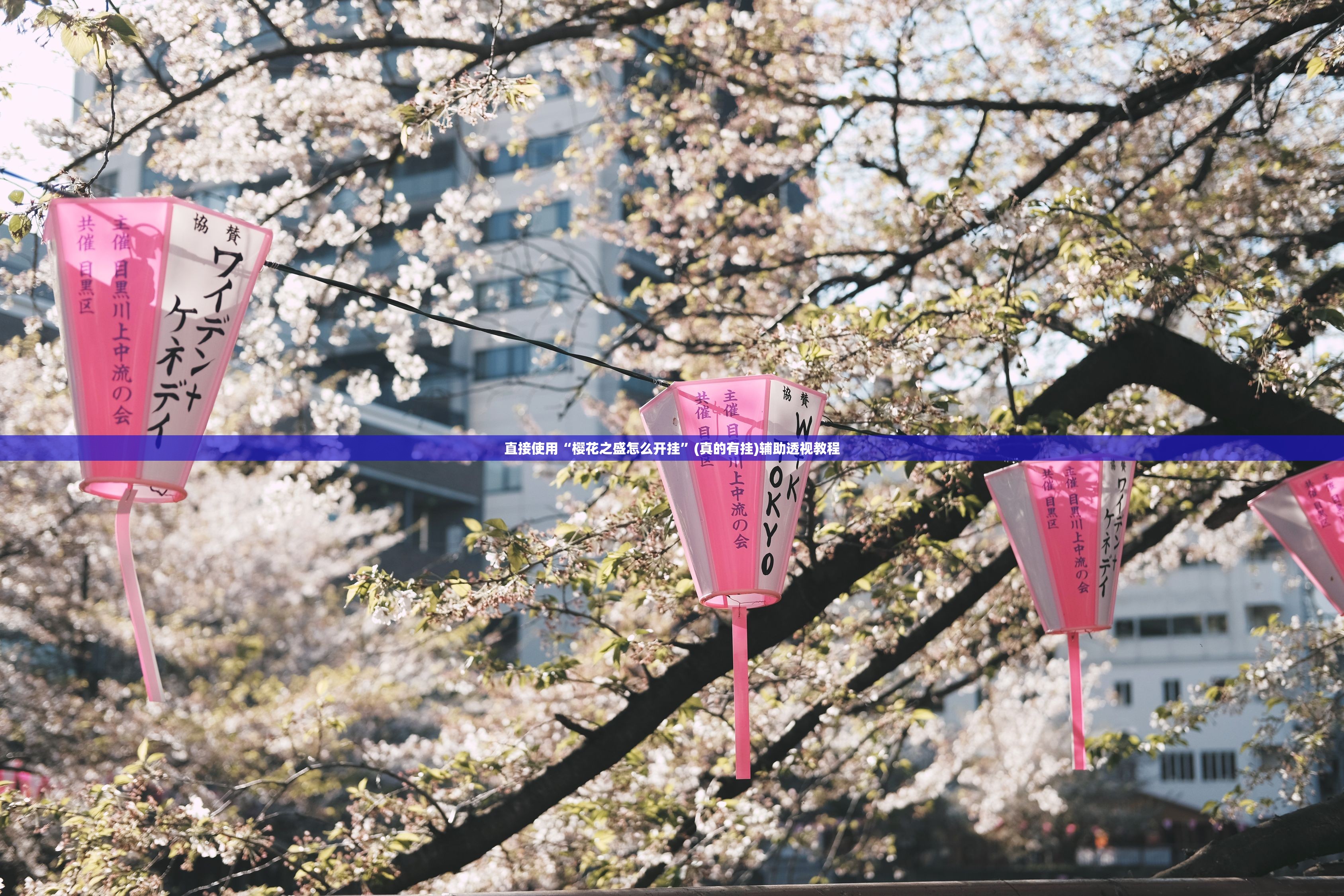 直接使用“樱花之盛怎么开挂”(真的有挂)辅助透视教程